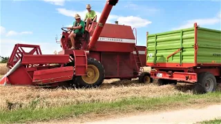 Massey Ferguson 187 Harvester läuft wie in alten Zeiten!