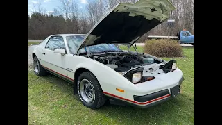 1986 PONTIAC FIREBIRD BASE MODE