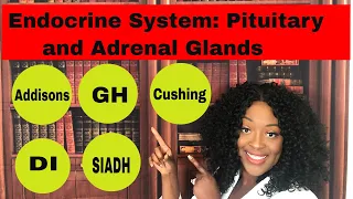 Endocrine System: Adrenal and Pituitary Glands