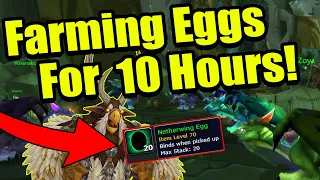 Farming Netherwing Reputation For 10 Hours! - Classic WoW TBC