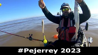 Pesca de pejerrey en el Río de la Plata