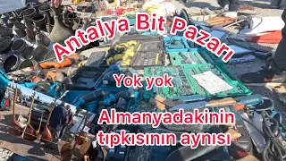 Antalya Bit pazarı   ​⁠@bayramali8076