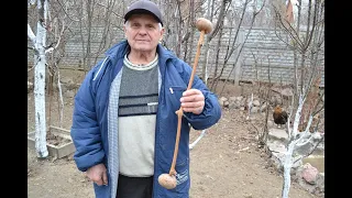 Harvesting and storage of cuttings for grafting fruit trees