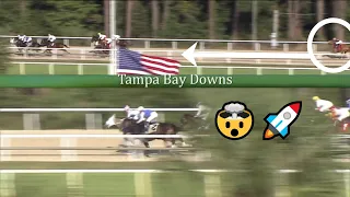 FROM THE CLOUDS! Incredible win at Tampa Bay Downs