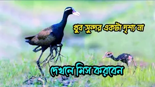 🥰খুব সুন্দর একটা দৃশ্য না দেখলে মিস করবেন🥰