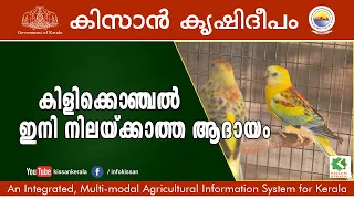 Stunning parrots of Kerala.. A tale of ornamental bird farming of Sri. Deepak, Kayamkulam