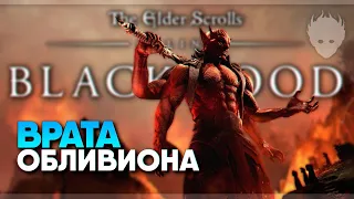 The Elder Scrolls Online Blackwood прохождение и обзор [4K ULTRA]