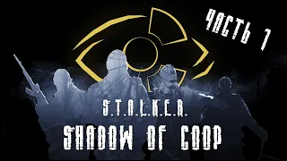 Дневники разработчиков аддона Shadow of COOP, часть 1.