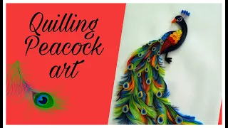 Quilling Paper Peacock || Quilling Paper Peacock wall Hanging || How to make Quilling Peacock