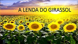 A LENDA DO GIRASSOL - ATIVIDADES EDUCATIVAS