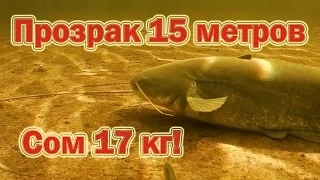 Подводная охота 2017. Сом 17кг