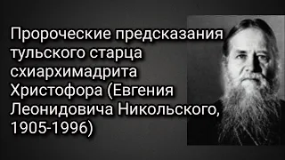 Я НЕ МОГУ БЛАГОСЛОВЛЯТЬ, ЧТОБЫ МЛАДЕНЦЫ ШЛИ В АД ВМЕСТЕ С МАТЕРЬЮ..ВРЕМЯ ИДЕТ СТРАШНОЕ,ЛУКАВОЕ ч. 14