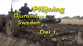 Plöjning Djuramåsa 2019 del1