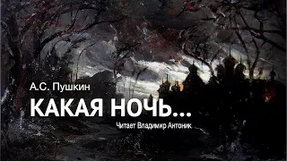 Стихотворение А.С.Пушкин. «Какая ночь...». Читает Владимир Антоник