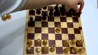 Шахматы для начинающих / часть2