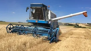 Fortschritt E512 harvesting 2018