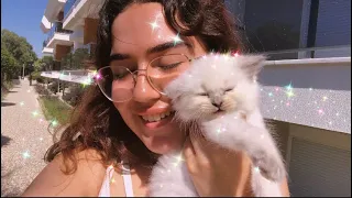 ARTIK BEBEK Bİ KEDİM VAR 🥹💖 Kedi Sahiplenme Vlog 😻