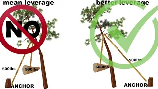 The Reality of Tree Service Work