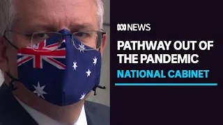 Four stage plan outlined as a pathway out of the COVID-19 pandemic | ABC News