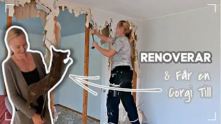 River väggar & Renoverar i vårt nya Hus (& får en corgi-skylt!!)