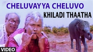 Cheluvayya Cheluvo Video Song | Khiladi Thatha | Prabhakar, Disco Shanti | S.P. Balasubrahmanyam
