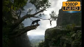 Orman Çocuğu | Mowgli Sürüden Ayrılıyor | Klip (3/10) HD