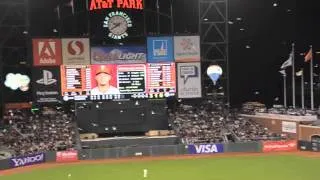 Invasion of the gulls at AT&T Park