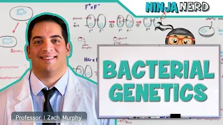 Bacterial Genetics