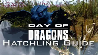 Day of Dragons, Hatchling guide - updated