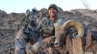 Once in A lifetime - AZ Archery Desert Bighorn Sheep hunt