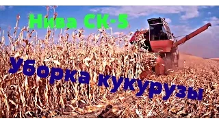 Уборка кукурузы на зерно комбайном Нива СК-5(технология уборки)