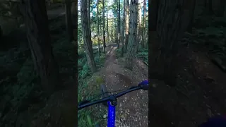 Swan creek bike park