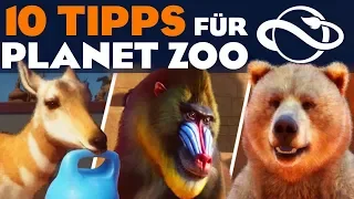 10 TIPPS für PLANET ZOO Erste Schritte Guide Deutsch German