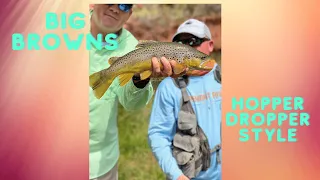 Summer Brown Trout Fishing The Fremont River In Torrey Utah, Hopper Dropper Style