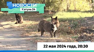 Новости Алтайского края 22 мая 2024 года, выпуск в 20:30