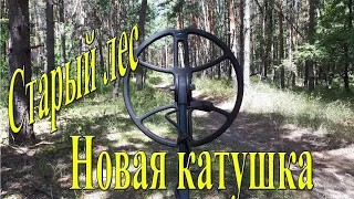 Как работает в лесу новая катушка Magic 13 для Minelab X Terra 18,75 кГц?