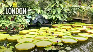 Kew Gardens 🍂🌿 Largest Botanical Garden in the WORLD 🌍 | London Walking Tour