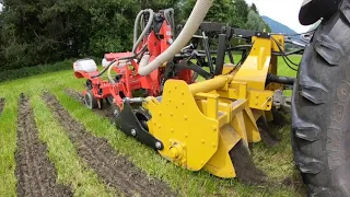 Streifensaat / Fendt / Kuhn / Strebel