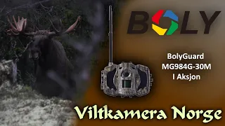 VILTKAMERA I AKSJON | BolyGuard MG984G-30M