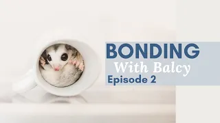 Bonding With Balcy - episode 2