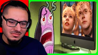 High Boi - Cats explained by an idiot | REACTION