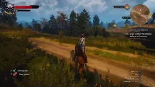 Witcher 3 kill montage