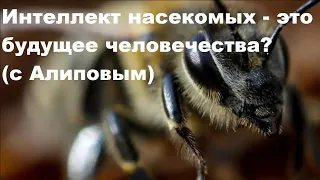 Интеллект насекомых - это будущее человечества? (с Алиповым)