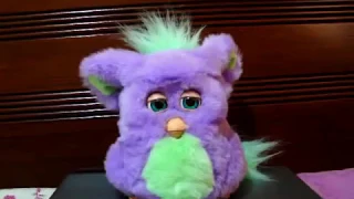 Funky Furby Sing All Songs With Lyrics