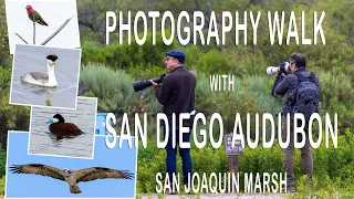 Birding: The Real-Life Pokémon Adventure with San Diego Audubon