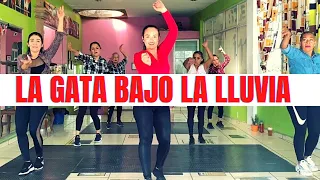 La gata bajo la lluvia (cumbia) ft Mariela Lopez Dance Fit