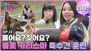 The biggest cowards ever?! Sakura and Eun Chae try training special dogs🐶🔥