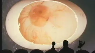 MST3K   S07E02   The Brute Man