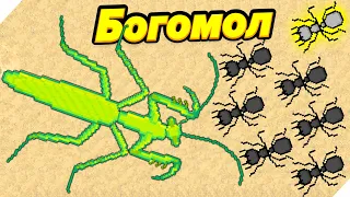 ПРИВЕТ БОГОМОЛ! - Pocket Ants Симулятор Колонии