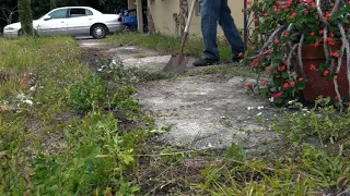 Random homeowner was SURPRISED I gave him a FREE lawn makeover [Super OVERGROWN yard]